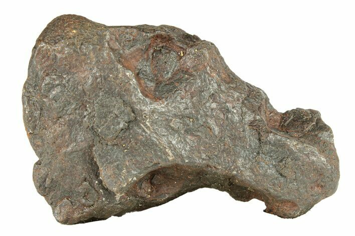 Canyon Diablo Iron Meteorite ( g) - Arizona #270673